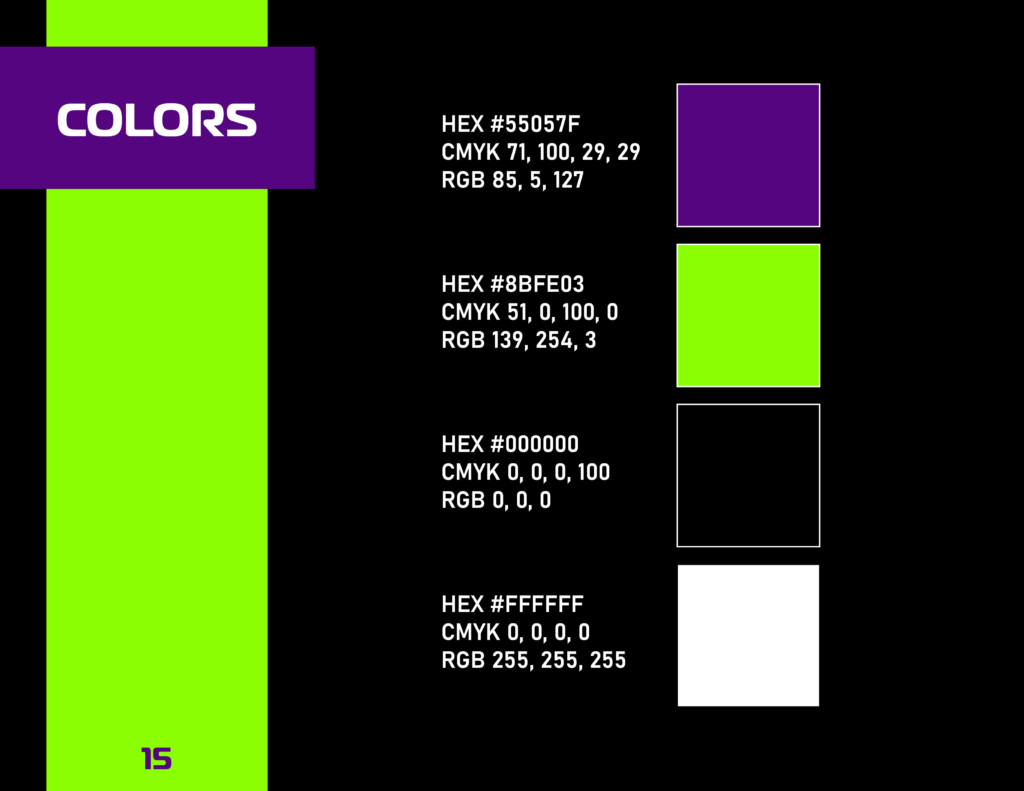 RacerX Brand Guide Logo Color